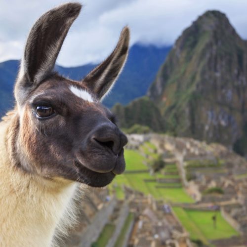 Inca trail 2 dias 1 3 1