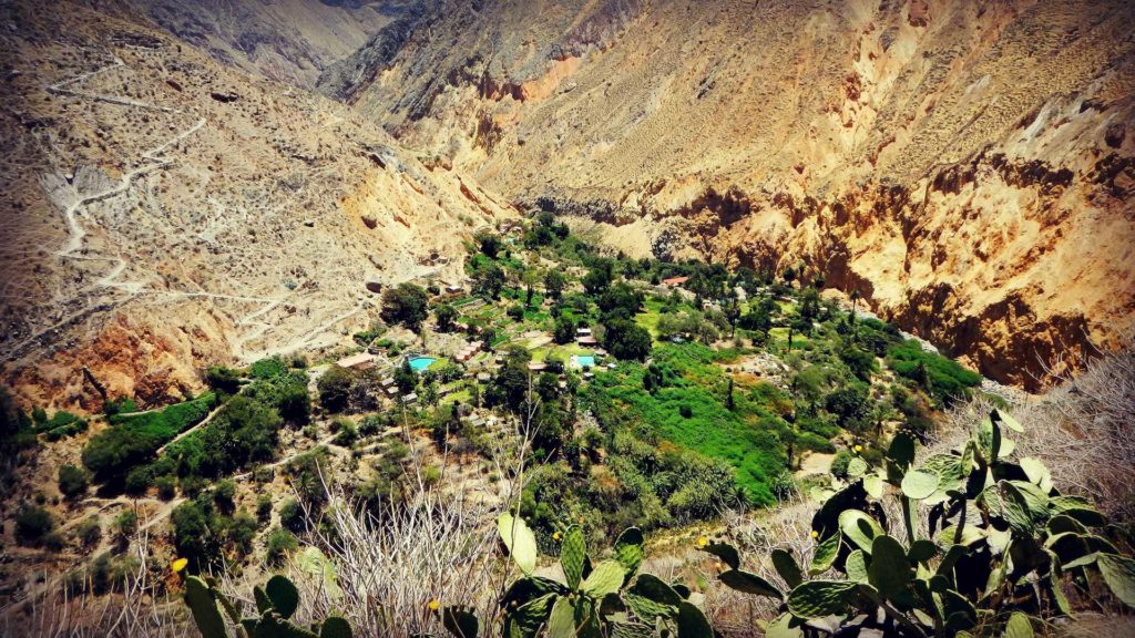 Colca Canyon trek 3