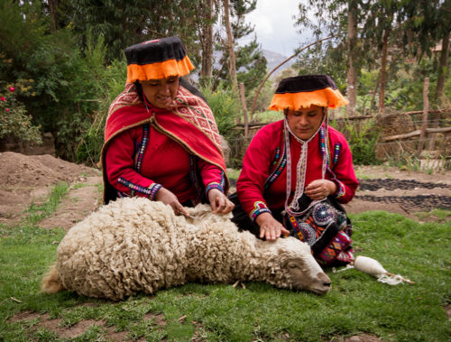 descendant incas11 5