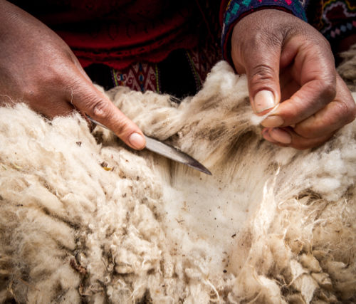 descendant incas11 6