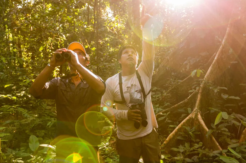 Ecotourism in the Amazon – Learn, Relax, Discover