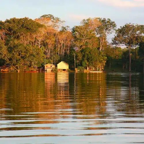 nareeta martin USADCV83HOE unsplash jpg