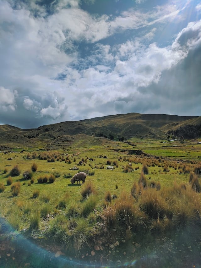 gonzalo kenny NuqwZAvmKg8 unsplash