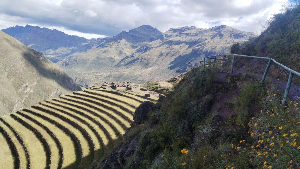 Flow IMG 20240405 150952 01 141 1 scaled