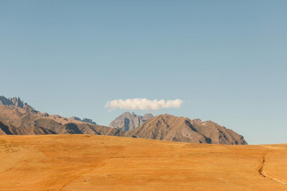 S7A6054 e1736042035981